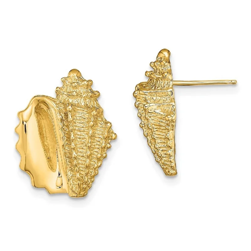 Curata 14k YellowGold Conch Shell Post Earrings 2 d - 17.62x14mm